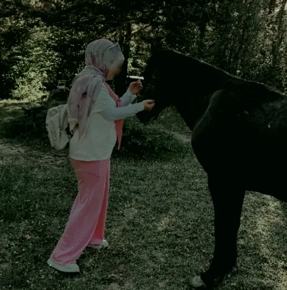 Romana, 29